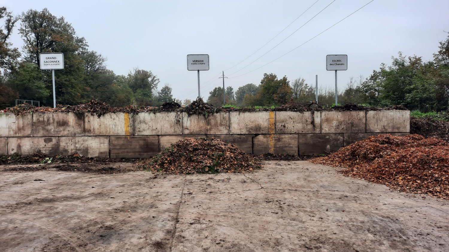 20241107_090616-1500×844