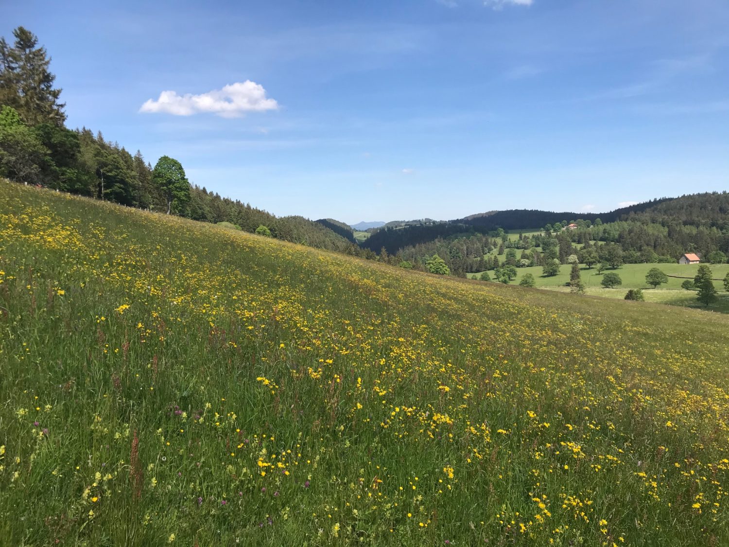 Bienne-Ruralis-3-1500×1125