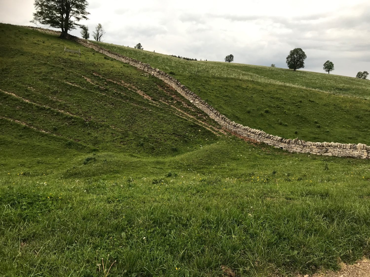 Bienne-Ruralis-7-1500×1125