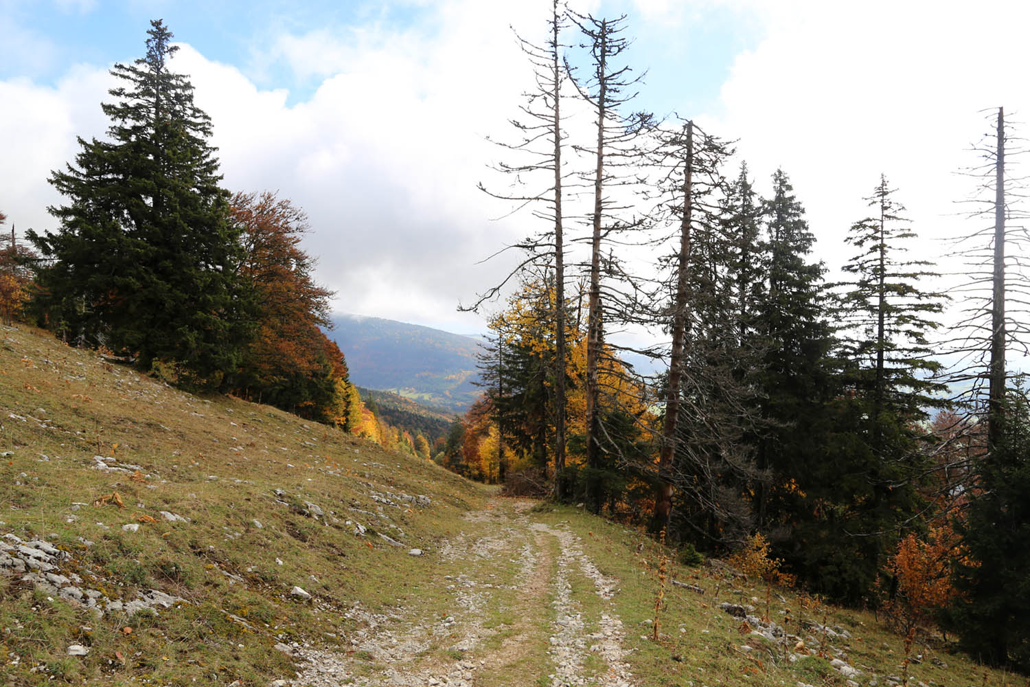 Chasseral26