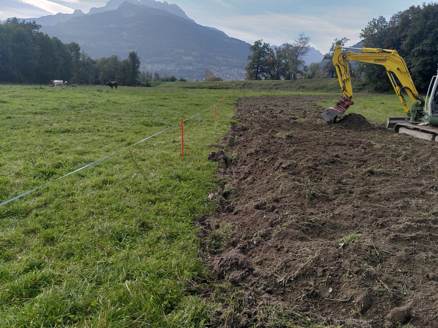 IMG_20231003_1136092-1500×1125