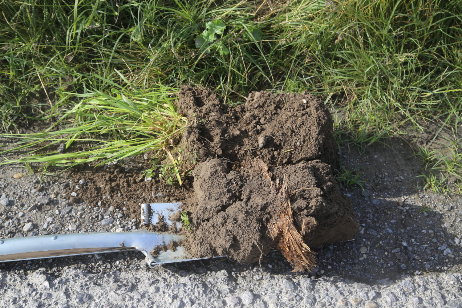 RestitOllon1-1500×1000