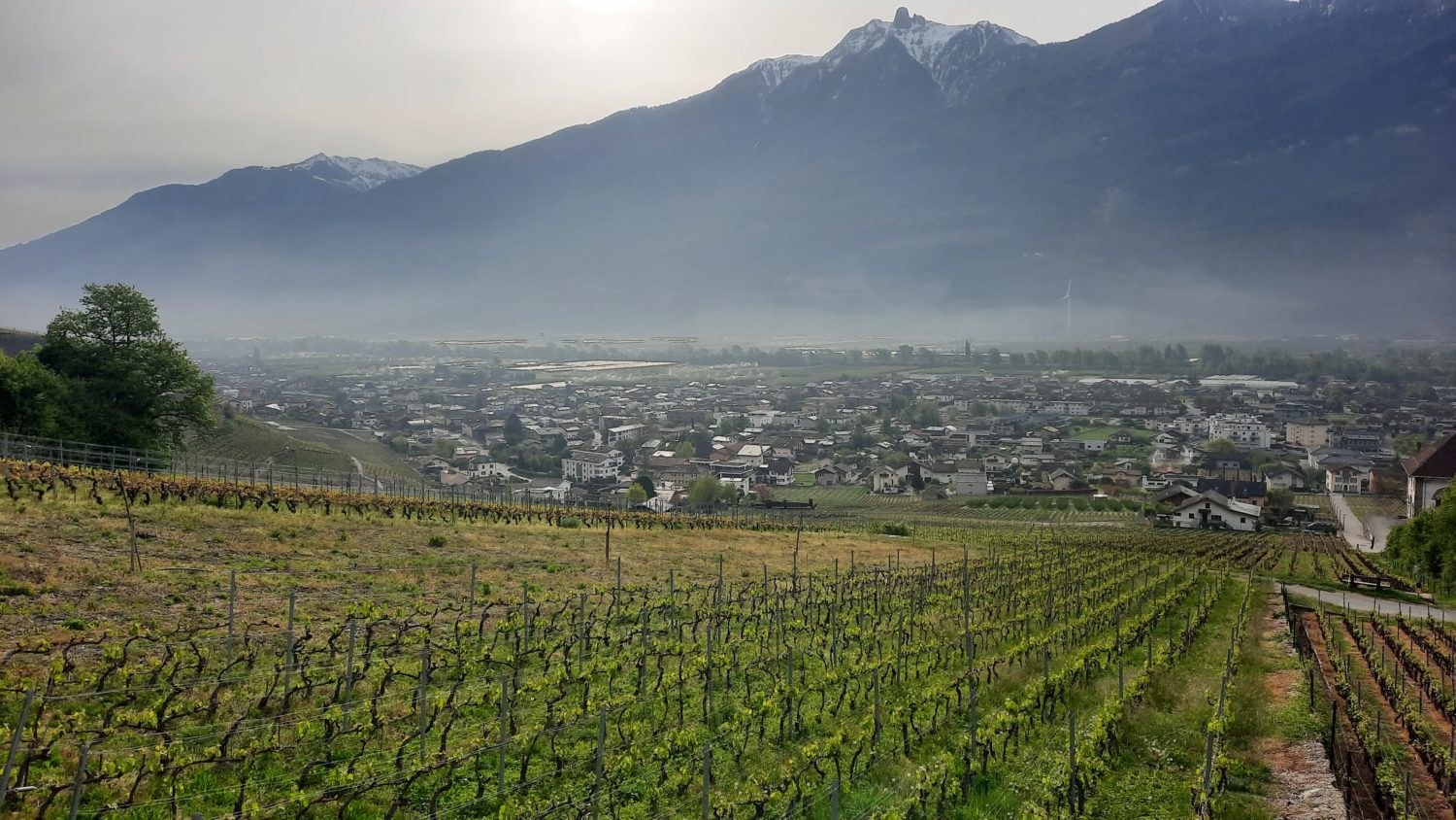 fully-ruralis-1500×844