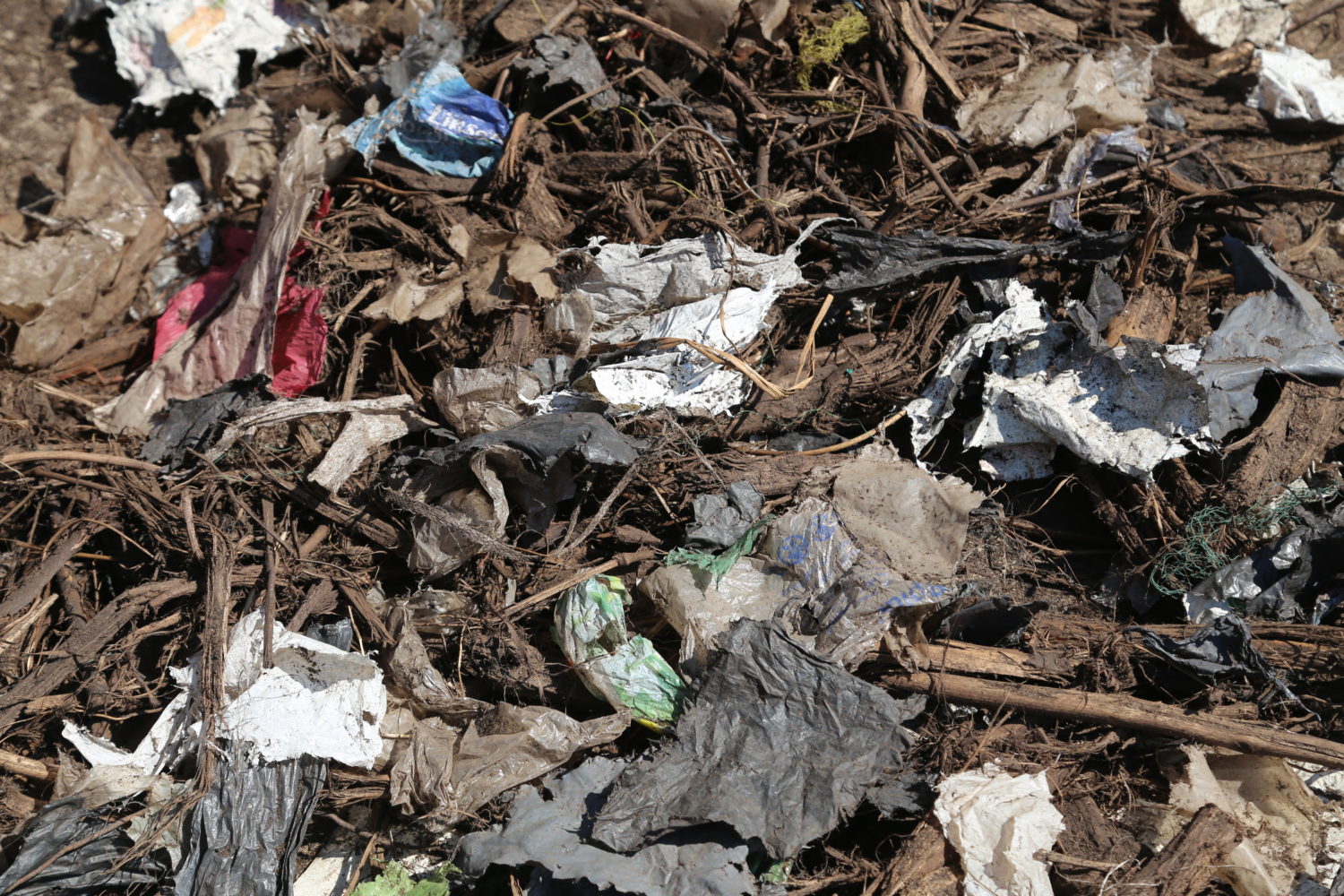 microplastics29-1500×1000