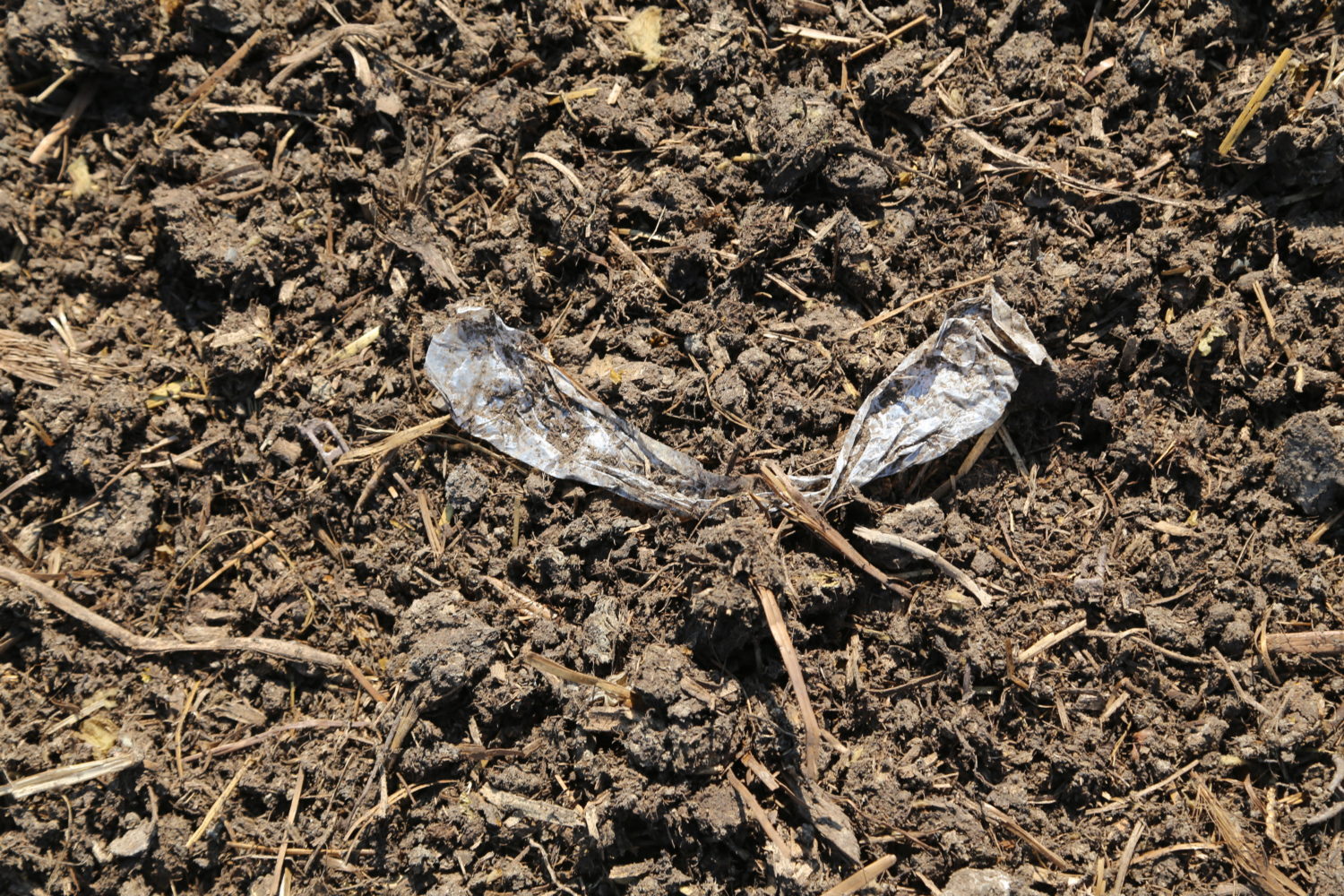 microplastics9-1500×1000