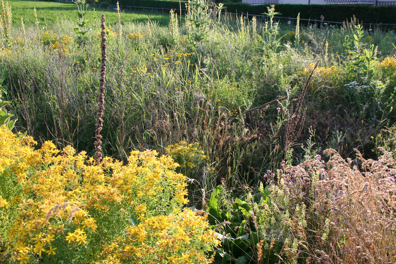 ruralis-agronomes-web-167