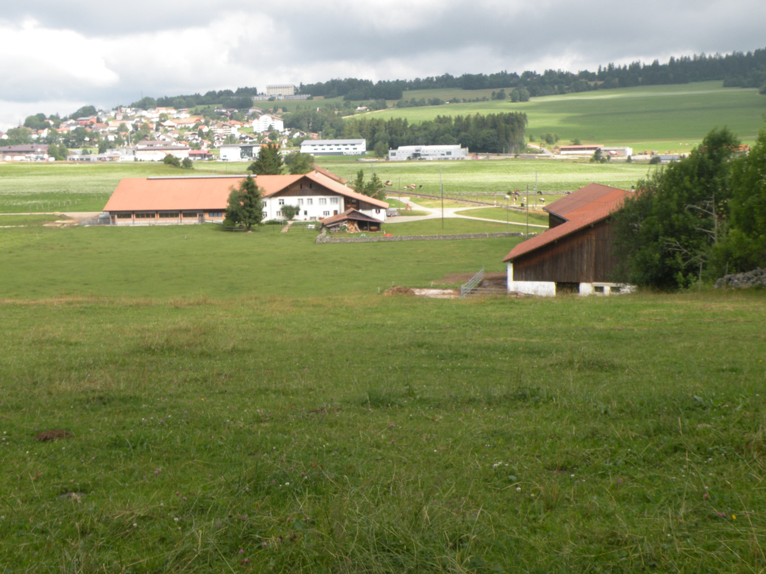 ruralis-agronomes-web-179