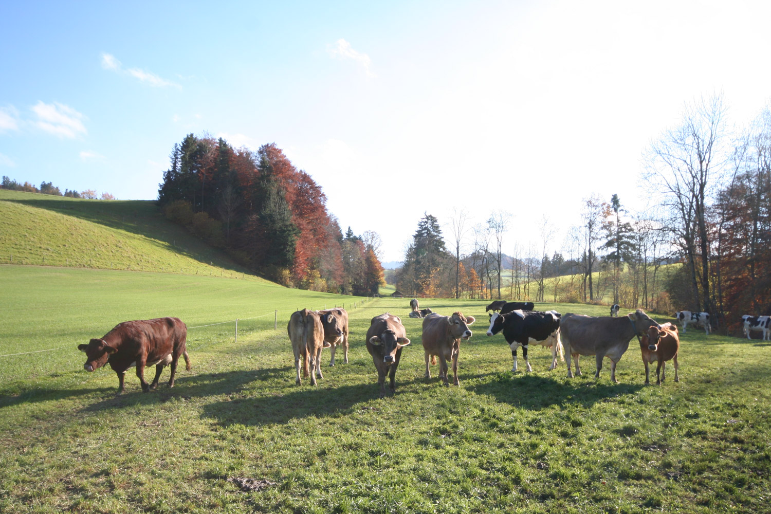 ruralis-agronomes-web-205