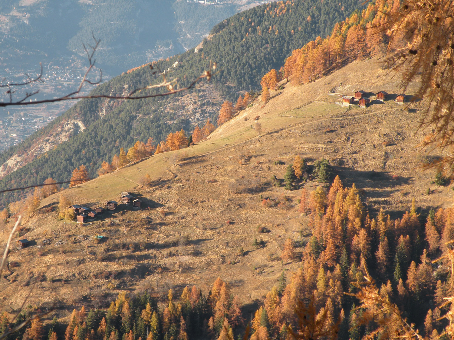 ruralis-agronomes-web-216