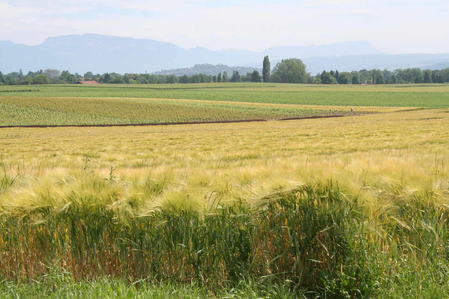 ruralis-agronomes-web-394