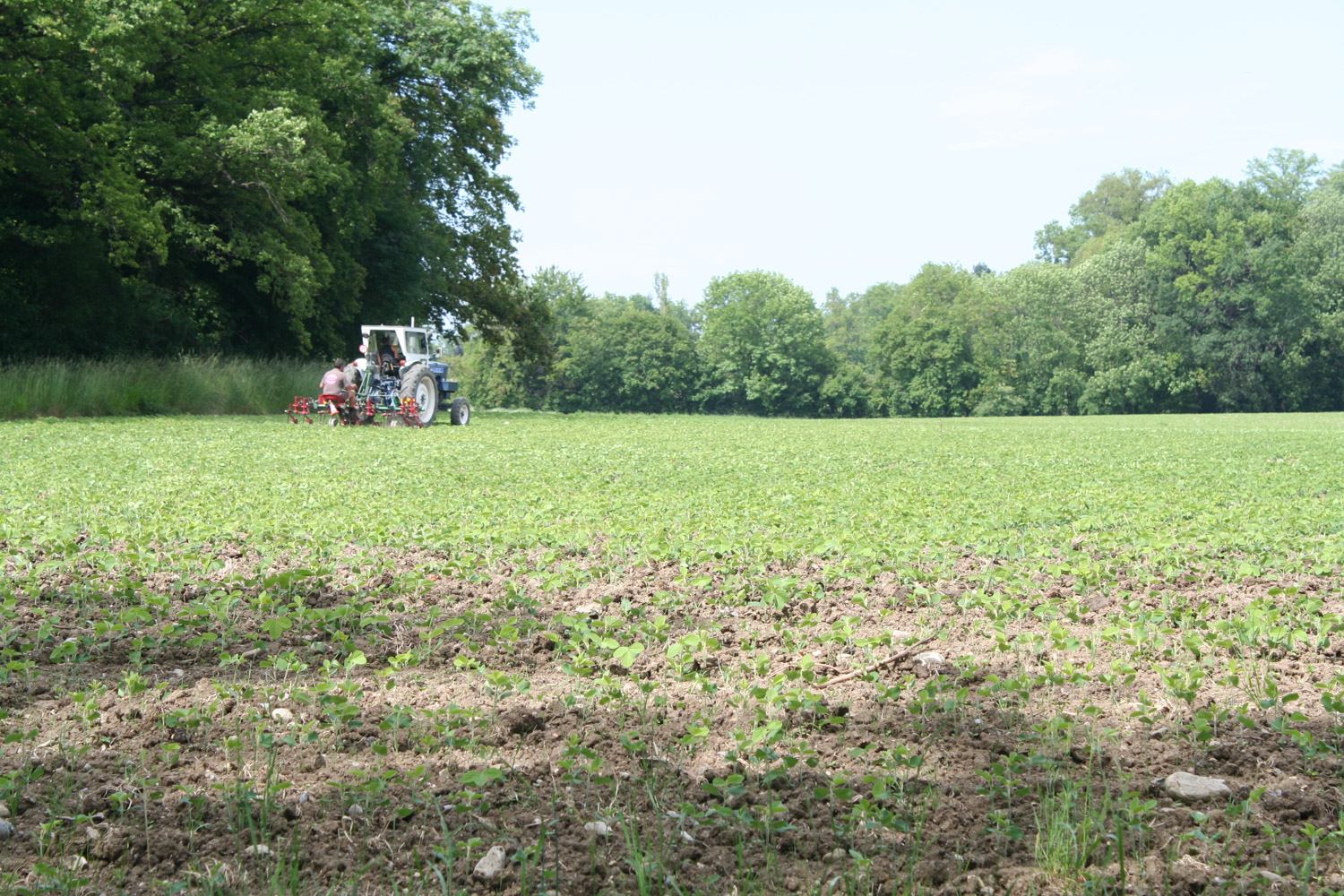 ruralis-agronomes-web-399