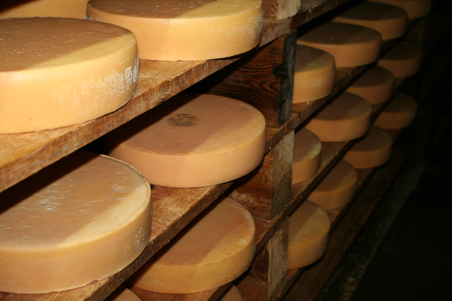 ruralis-agronomes-web-416