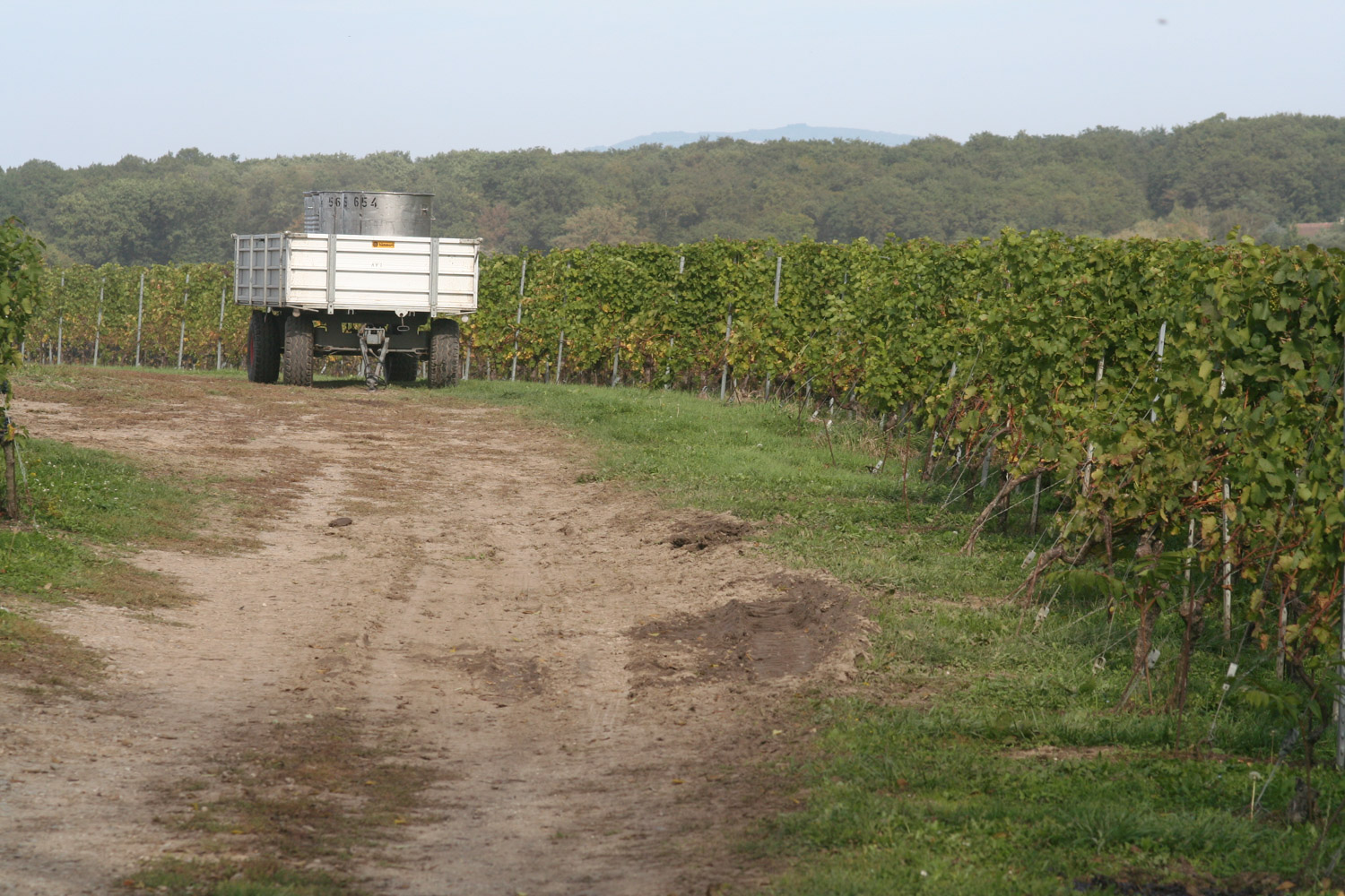 ruralis-agronomes-web-456