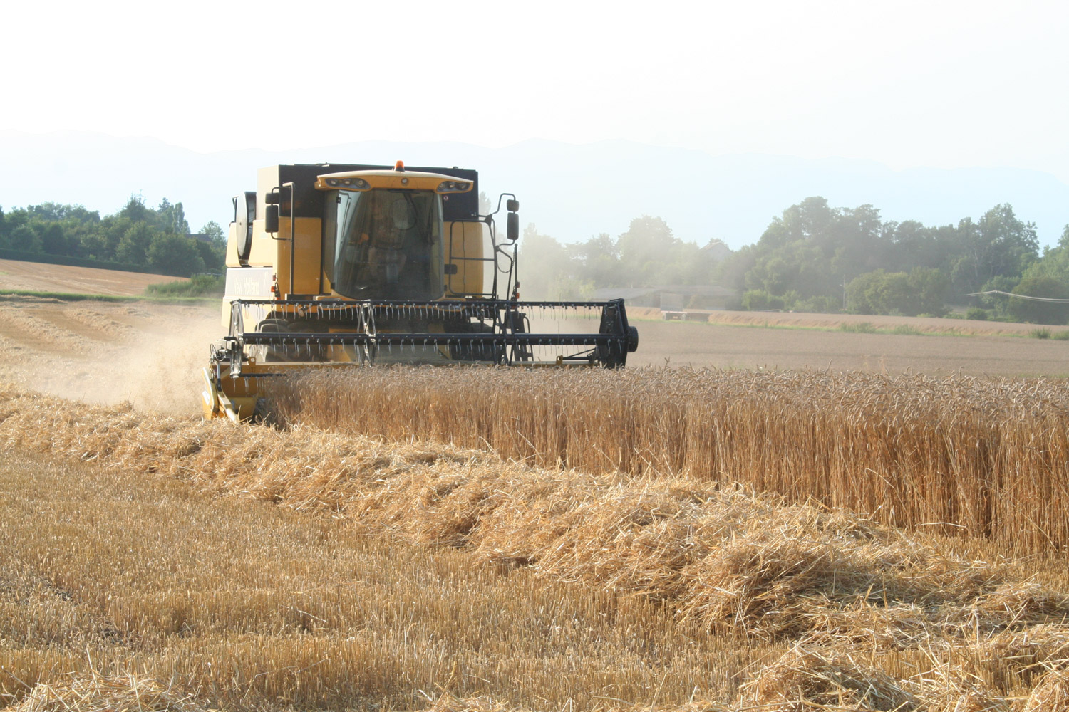 ruralis-agronomes-web-545