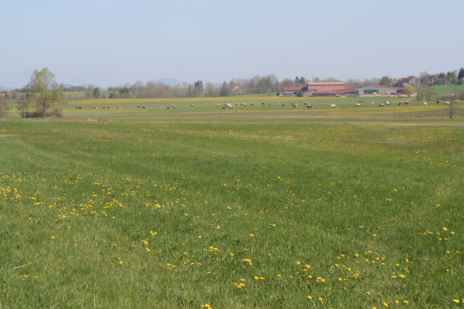 ruralis-agronomes-web-584