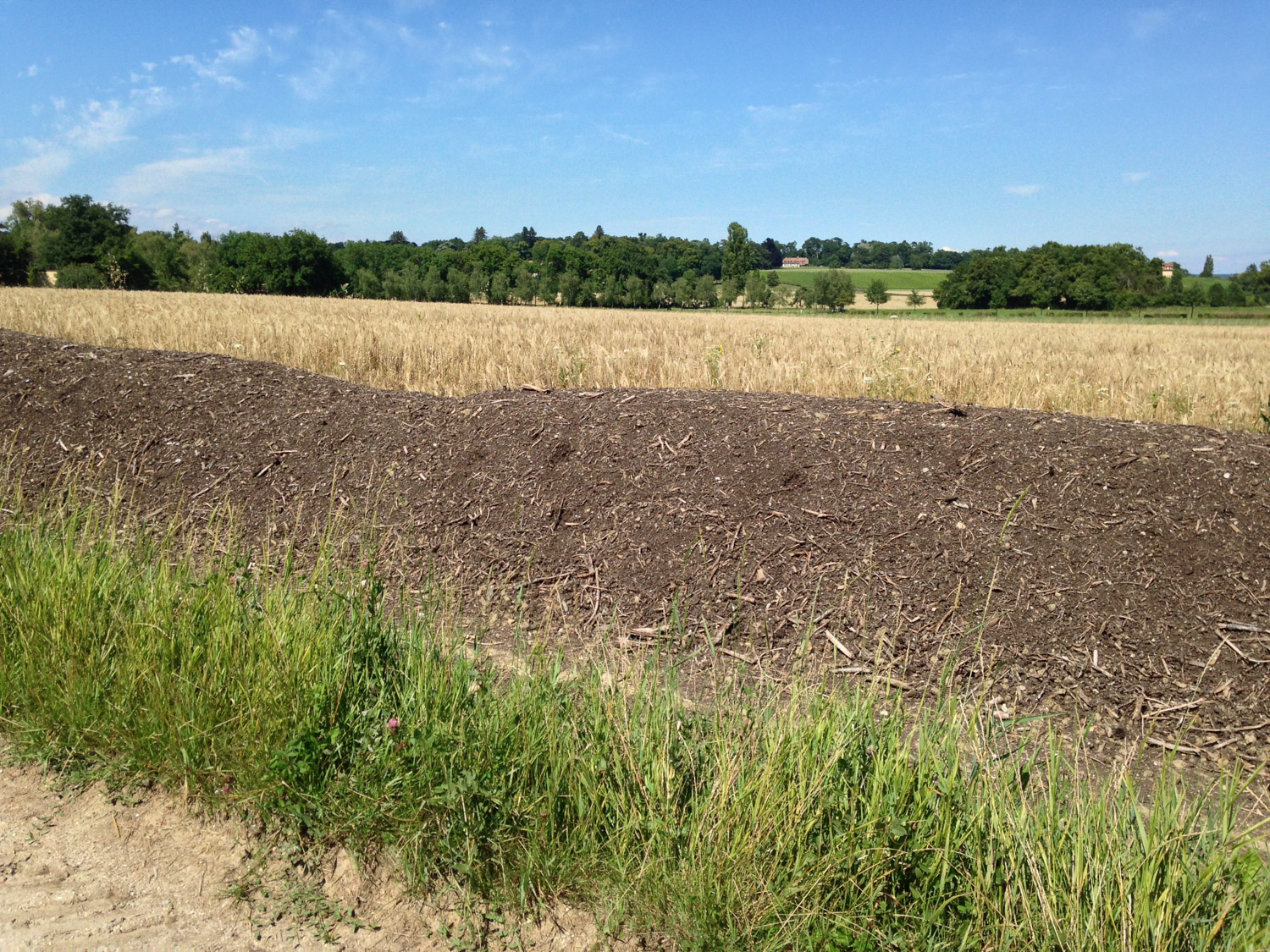 ruralis-agronomes-web-601