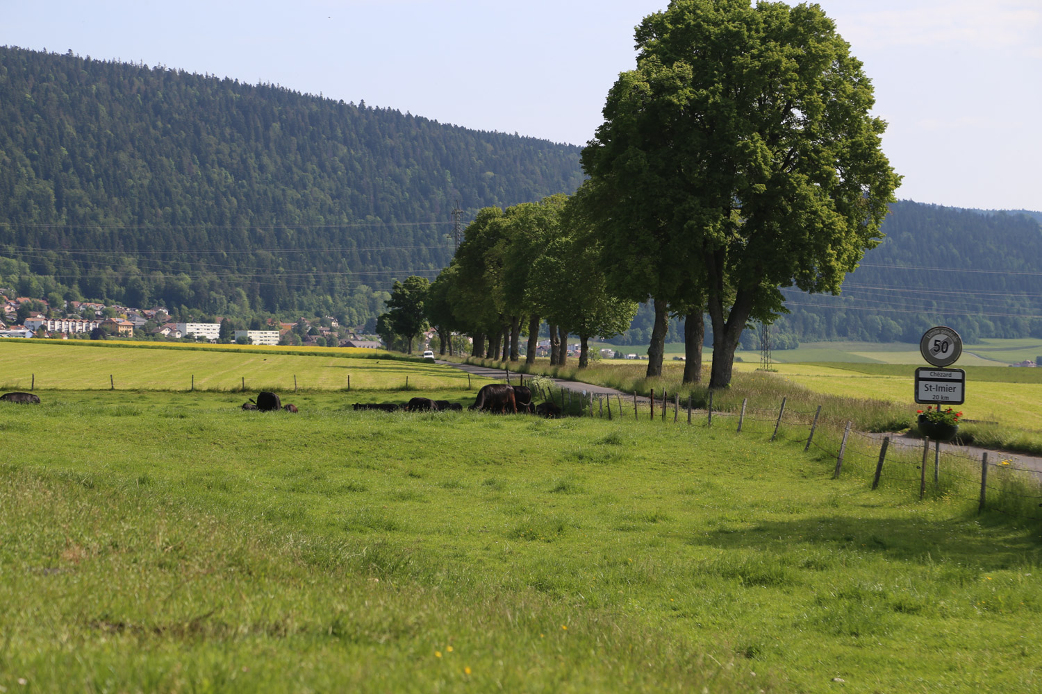 ruralis-agronomes-web-884