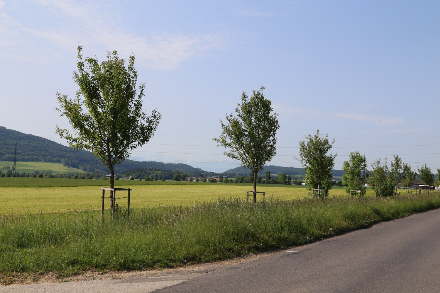 ruralis-agronomes-web-890