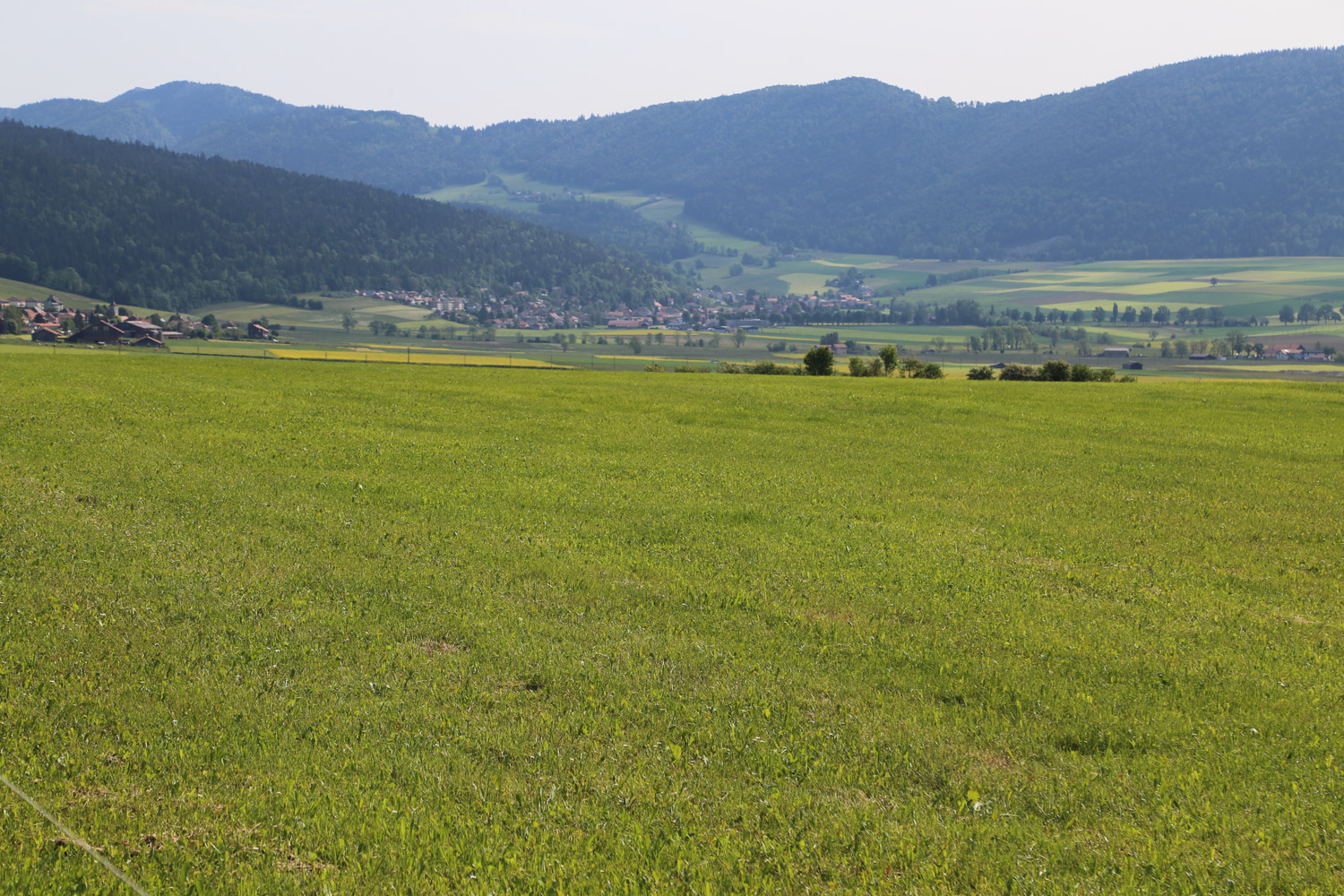 ruralis-agronomes-web-900