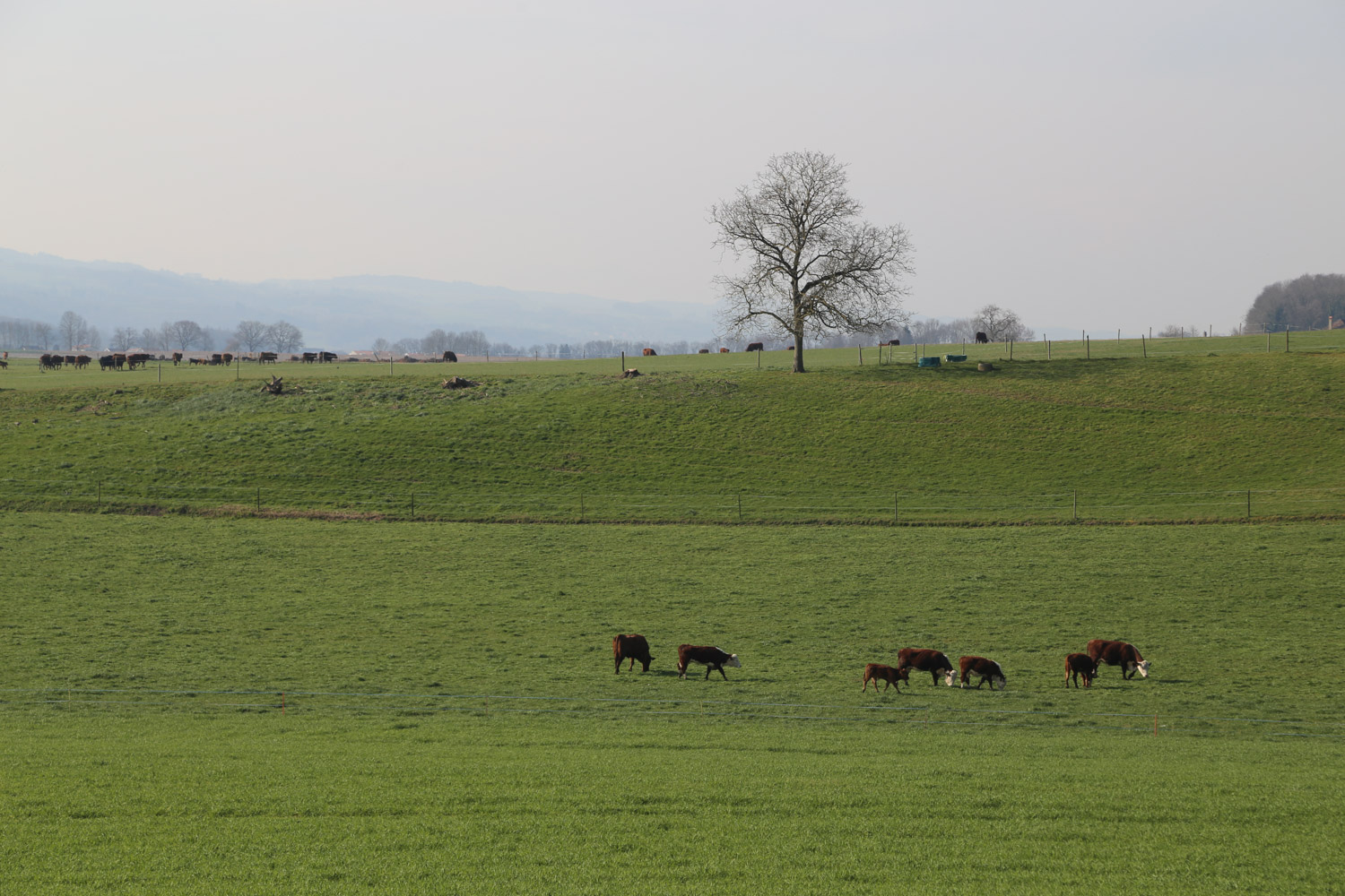 ruralis-broye-web-21