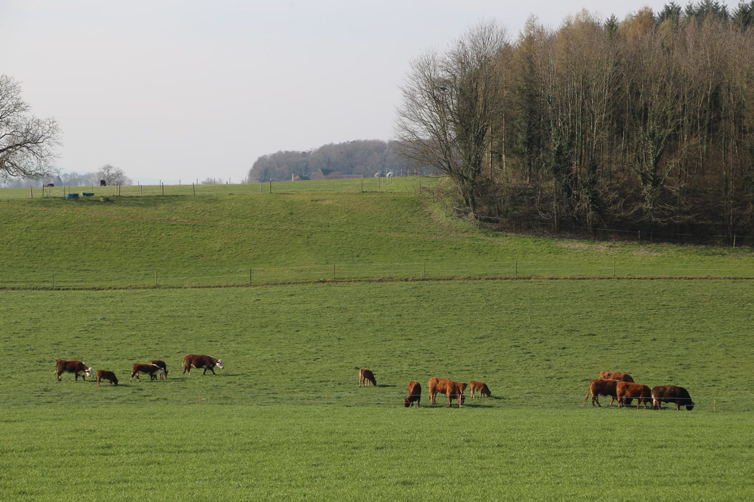 ruralis-broye-web-22