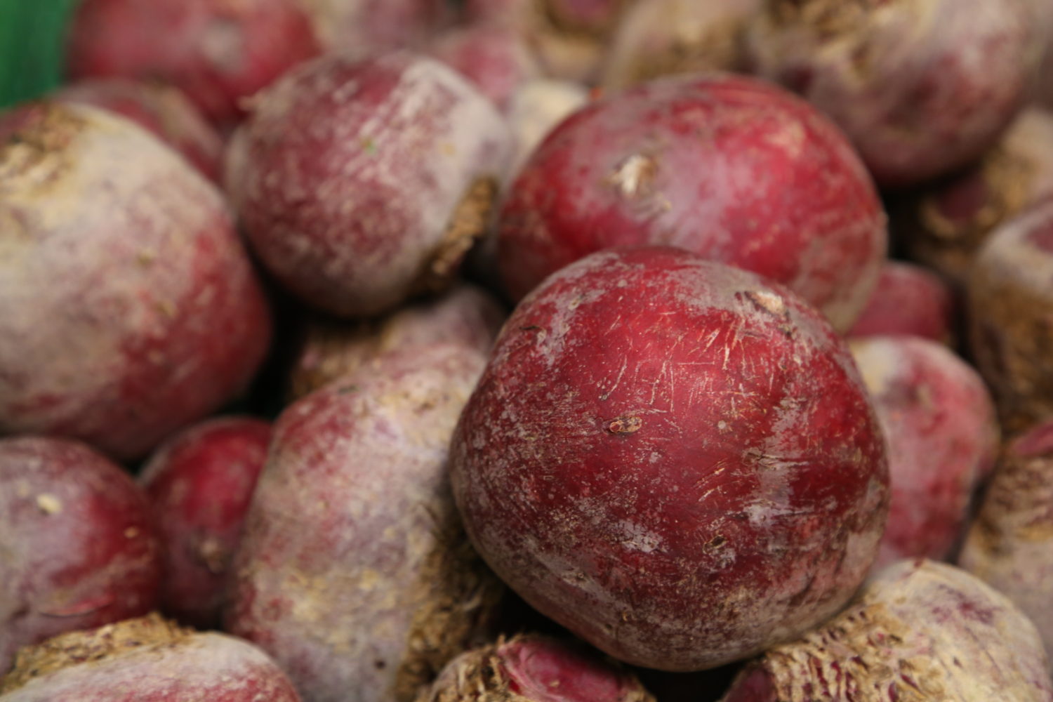 serre_112-1500×1000